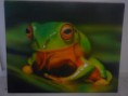 /album/fotogalereya-zhivopis1/p1250988-jpg1/